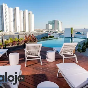 Torre Sofia Magnific & Estudios With Great Amenities Apartamento